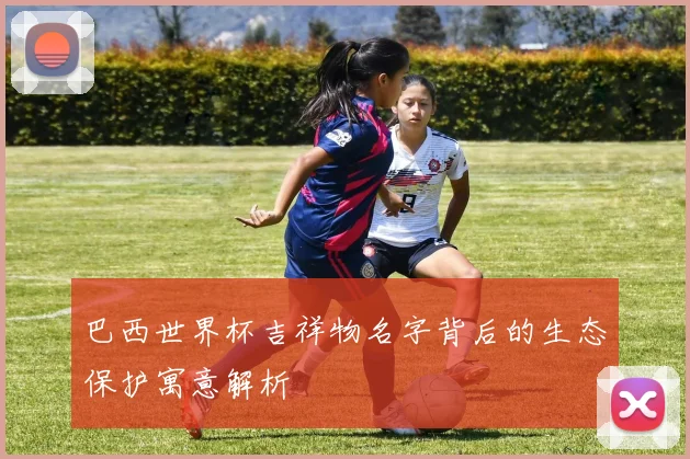 巴西世界杯吉祥物名字背后的生态保护寓意解析